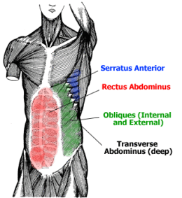 sore back, strengthen core, back pain, chiropractor, chiropractic, toronto, king west